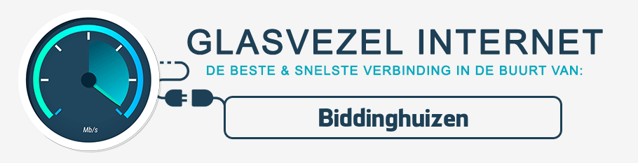 glasvezel internet Biddinghuizen